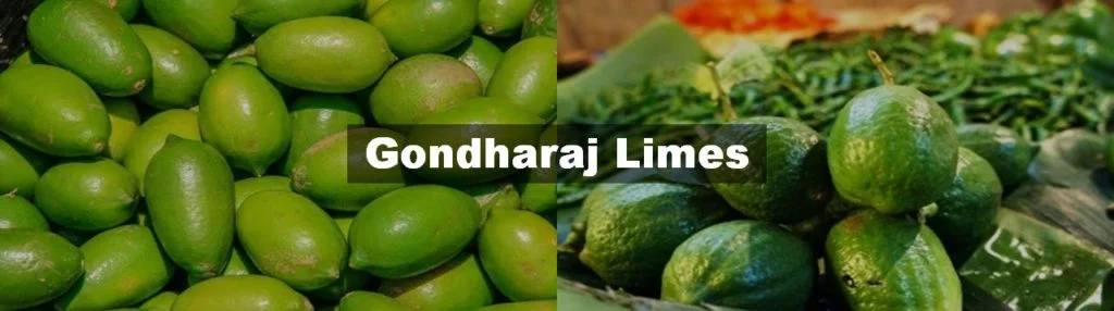 Gondharaj Limes